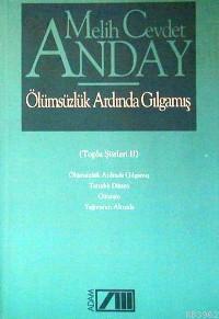 Olumsuzluk Ardinda Gilgamis Melih Cevdet Anday 9789754184044 Kitap Garantikitap Com