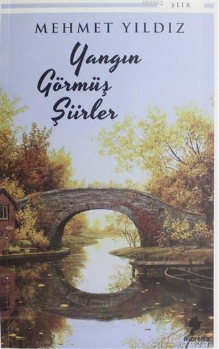 Bu Kitabi Sakin Okuma Mehmet Yildiz Hayalhanemmm 2020 Okuma Kitap Kitap Onerileri